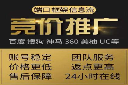 行业专家眼中的SEM竞价培训：成功要素与挑战